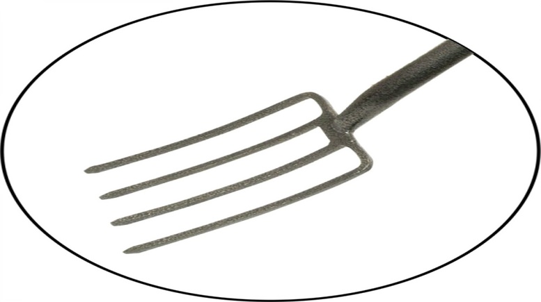 Ash Handle Digging Fork