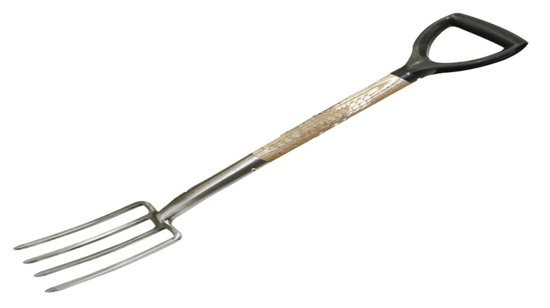 Stainless Steel Border Fork Wooden Handle 2