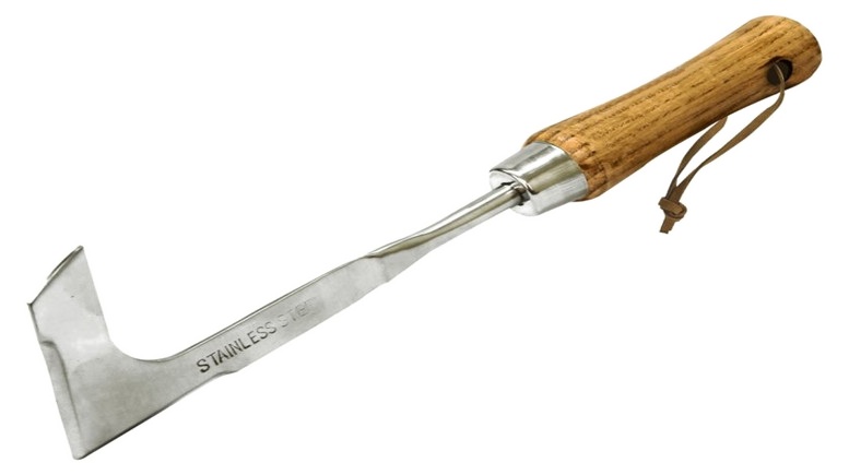 Stainless Steel Weeder Knife With Ash Wood Handle